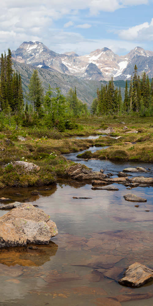 CANADA Trail Race