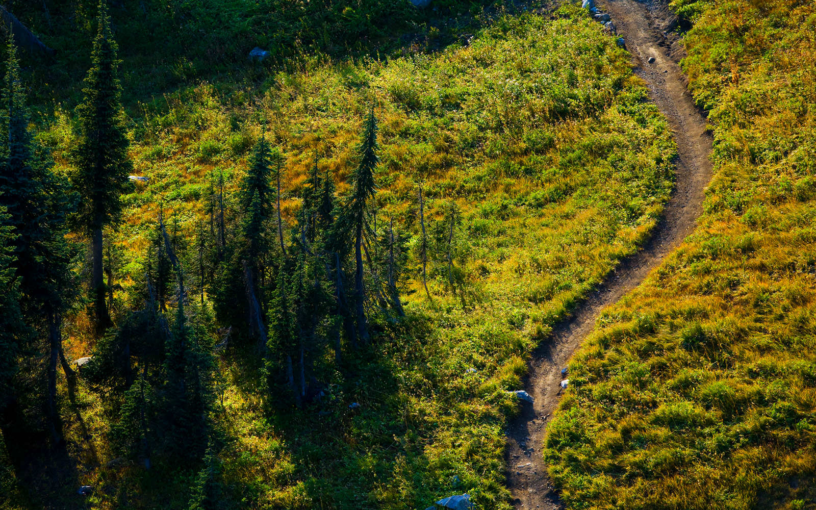 CANADA Trail Race